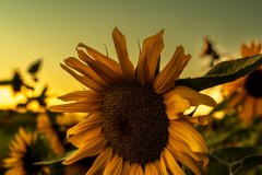 20230924210707-64d7f21c