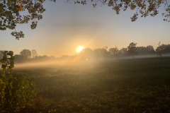 IMG_1705