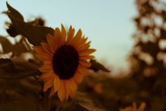 PHOTO-2023-08-09-09-43-31